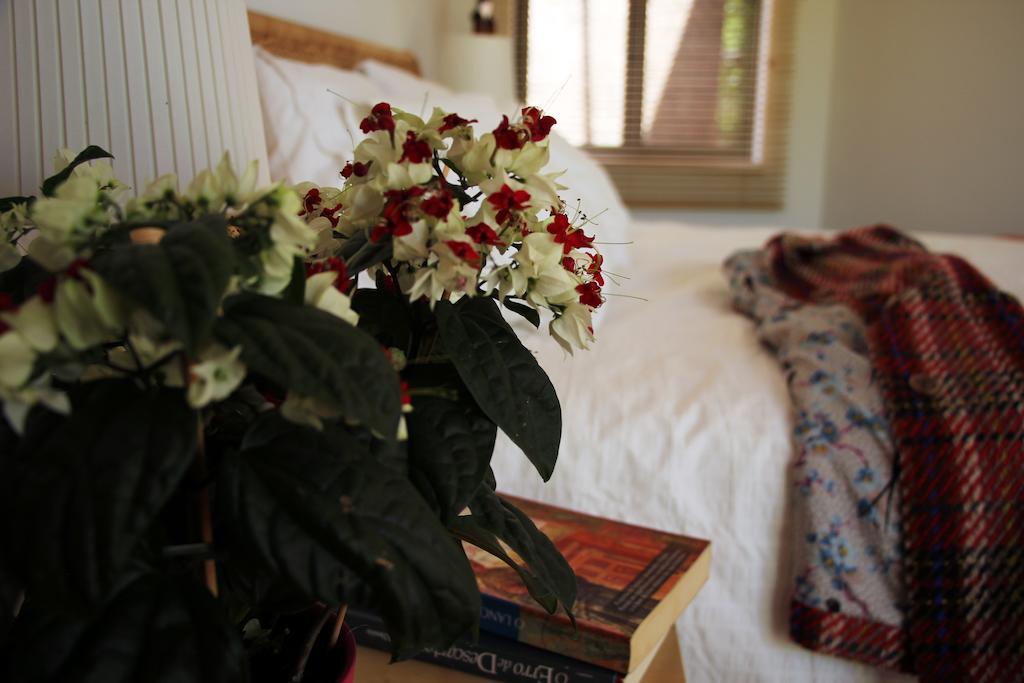 A Casa Da Arvore Bed and Breakfast Vila Nova de Milfontes Δωμάτιο φωτογραφία