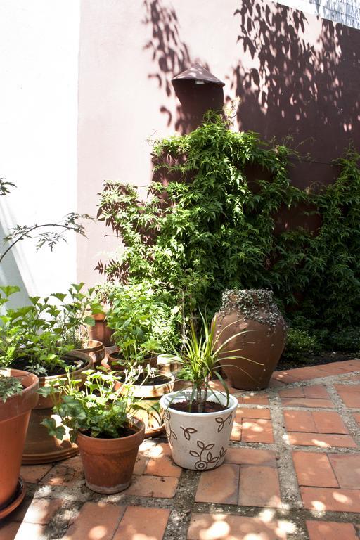 A Casa Da Arvore Bed and Breakfast Vila Nova de Milfontes Εξωτερικό φωτογραφία